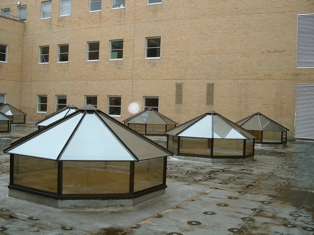 Flat Roof Skylights East Ham